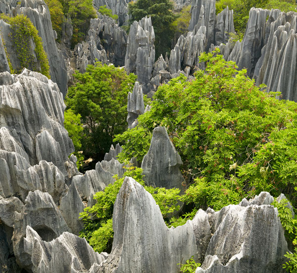 3-Day Stone Forest and City Essence Tour