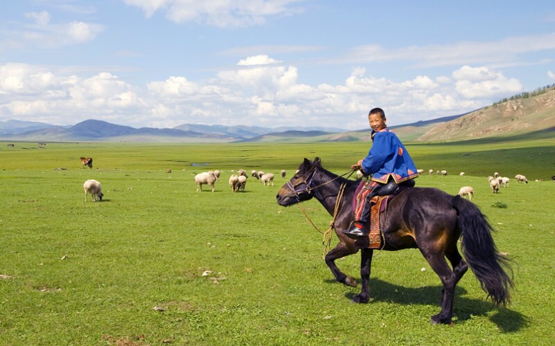 Inner Mongolia Naadam Festivals — Mongol Grassland Sports and Feasting
