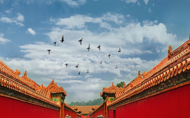 Gate of Heavenly Purity (Qianqingmen)