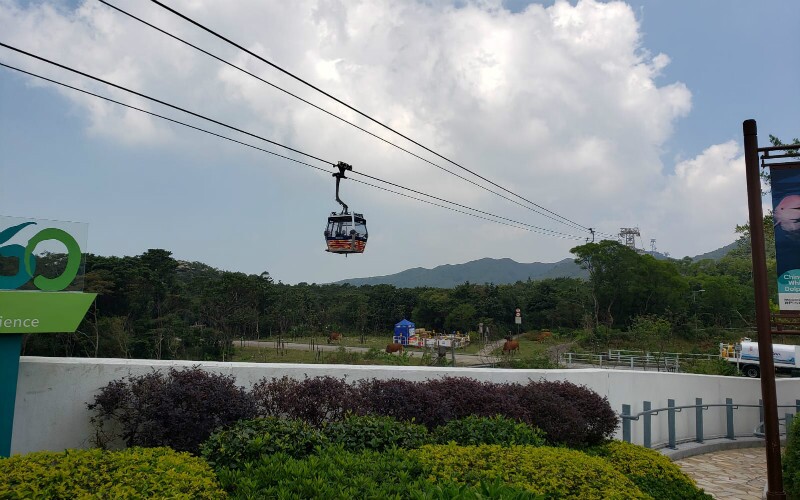 The Ngong Ping 360 Cable Car - Travel Tips, Tour Plan