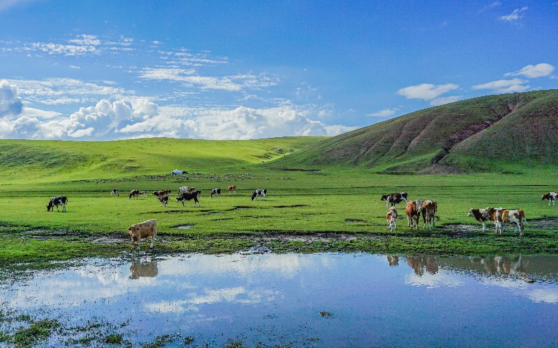14 Top Things to Do in Inner Mongolia