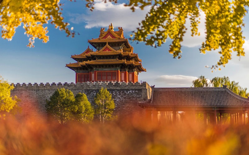 Imperial Garden of Beijing Forbidden City